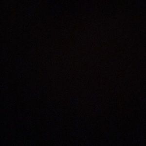 Meet your Posher, Elvis